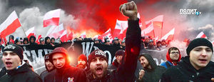 «Страна мягкого фашизма»: польский главред о ситуации в стране