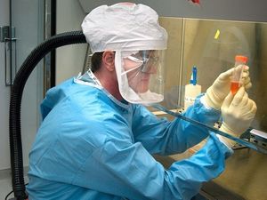 Экспертов напугала угроза из Африки: чем опасен новый штамм коронавируса