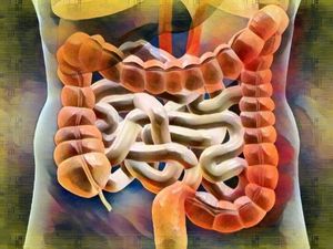Здоровая микрофлора – здоровый организм: 5 простых способов улучшить работу кишечника