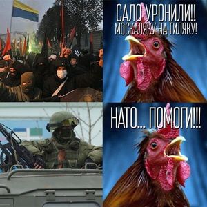 «К войне с РФ готовы, но сидеть без электричества не хотим», – в эфире у Портникова стращают украинцев