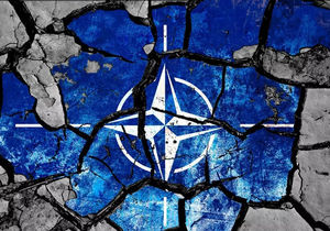 Россия развалила единство НАТО, – украинский военный эксперт