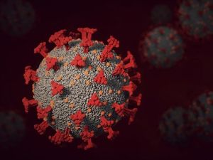 Названы неожиданные особенности распространения коронавируса в офисе и ванной