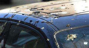 Чем опасен и как убрать птичий помёт с кузова автомобиля?