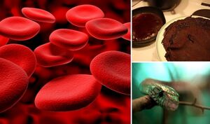 Кирпичи, блины и приворотное зелье: 10 странных и неожиданных способов использования крови