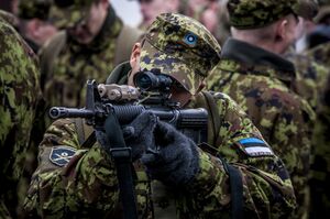 В Эстонии стартуют маневры с участием военных НАТО