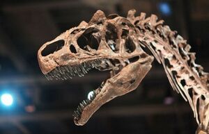 25 занимательно-любопытных фактов о доисторических животных, обитавших на нашей планете
