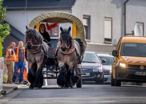Дорогой бензин вынудил немку пересесть с внедорожника на повозку с лошадями