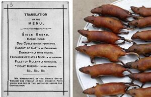 Кошки, крысы и слоны: что приходилось есть парижанам в конце XIX века