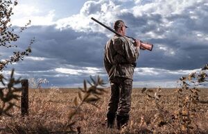 7 лучших гладкоствольных ружей для охоты, спорта и души