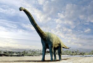 Палеонтологи, вероятно, нашли в Португалии останки крупнейшего в Европе динозавра