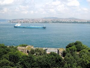 Турция решила сразу в пять раз повысить плату за проход через Босфор