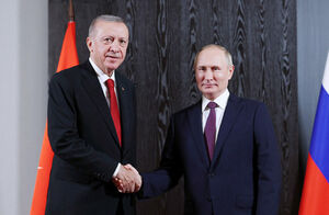 Россия и Турция согласовали частичную оплату газа в рублях