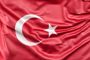 Aydınlılk: Турция рассматривает возможность бартерной торговли с Россией