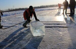 Для чего якуты заготавливают лед на зиму, если он и так повсюду