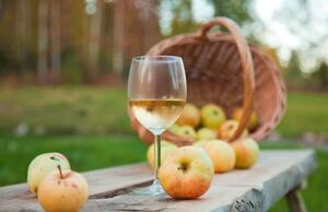 Как приготовить яблочное вино: 3 рецепта