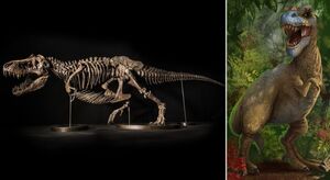 Зачем миллионеры скупают скелеты динозавров, и Почему учёные против продажи на аукционе монстра из мелового периода