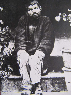 Познакомьтесь с реальным Маугли, мальчиком, которого в 1872 году нашли живым в джунглях
