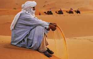 Какая толщина песков в пустыне, и зачем Арабские Эмираты завозят песок из-за границы