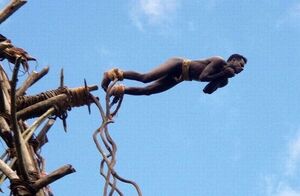 Без глупых рисков жизнь не в радость. Туземные прыжки с башен