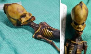 Гуманоид Атакамы — загадочная мумия из американской пустыни