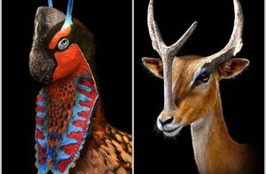 10 иллюстраций от художника, который показывает, как могли выглядеть древние животные
