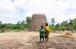 Видео: как в Африке бамбуковые башни, похожие на вазы, производят воду