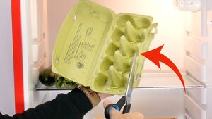 Чистота в холодильнике: 8 гениальных советов, которые помогут сохранить порядок на кухне