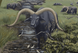 Пелоровис олдувайский: Древние быки с чудовищными рогами. Брутальный гигант доисторической Африки