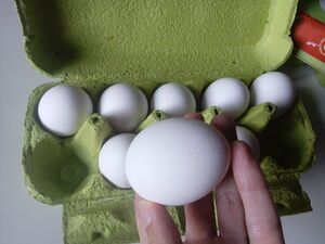 Почему опытные хозяйки не держат яйца в холодильнике