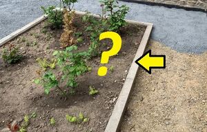Как без бетонных бордюров отделить грядки и цветники от садовых дорожек?