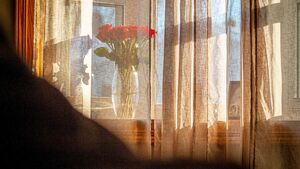 Бежевые шторы: советы по выбору, варианты сочетаний и фото в интерьере