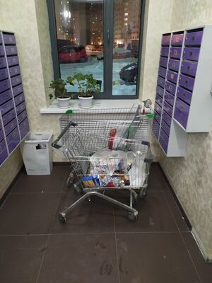 Самогонный аппарат, тележки с мусором и самокат: Что выставляют на лестницу жильцы новостройки?