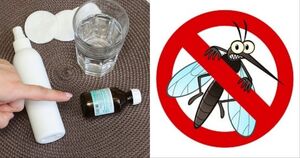 Близко не подлетят: лучшие бюджетные средства для защиты от комаров и мух