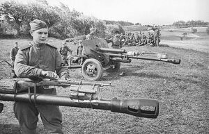 Зачем советские солдаты привязывали винтовки Мосина к стволам артиллерийских орудий