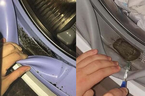 В стиральной машине появляется грибок плесени