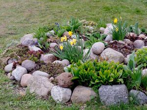 Идеи альпинариев, садов камней для маленьких участков