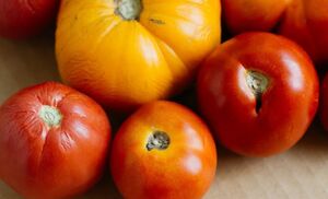 Что сделать из помидоров, если собранный урожай начал портиться