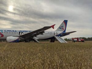 Летевший из Сочи самолет экстренно сел в поле под Новосибирском (видео)