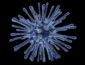 Вирус ожирения и еще 9 интересных фактов о вирусах
