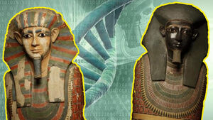 10 открытий, которые были сделаны благодаря анализу древних ДНК