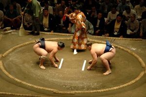 Боевое искусство - сумо