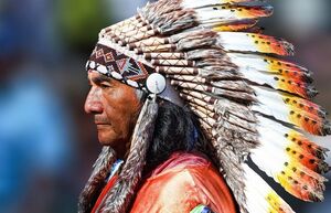 Почему у американских индейцев не растут бороды