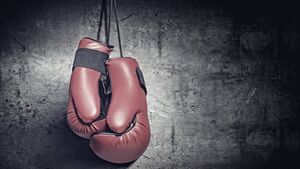 Интересные факты о боксерских перчатках
