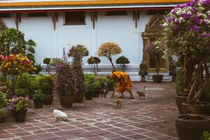 Что такое уборка по методу буддийских монахов и как она поможет в жизни