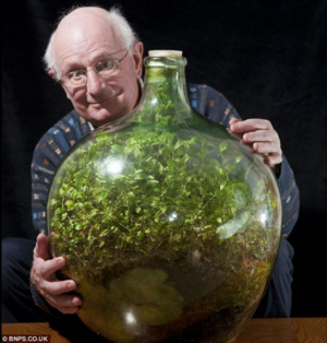 Садовник создал сад в бутылке и не открывал его 50 лет. Как цветку удалось выжить и что с ним стало сейчас
