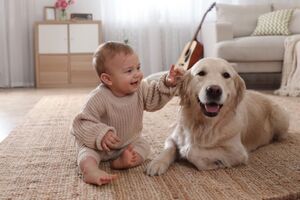 Какую собаку завести в семье с ребенком?