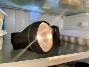 Чтобы проверить исправность холодильника, кладу внутрь фонарик