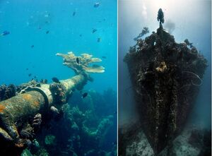 Чем удивляет и восхищает подводное кладбище кораблей в Микронезии, повторивших судьбу Перл-Харбора