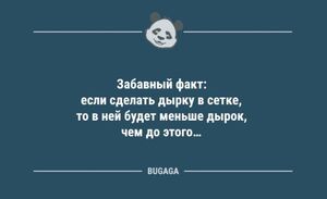 Анекдотов пост: "Забавный факт: если сделать дырку в сетке…" (10 фото)