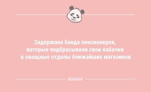 Анекдоты для пятничного настроения: "Задержана банда пенсионеров…" (9 фото)